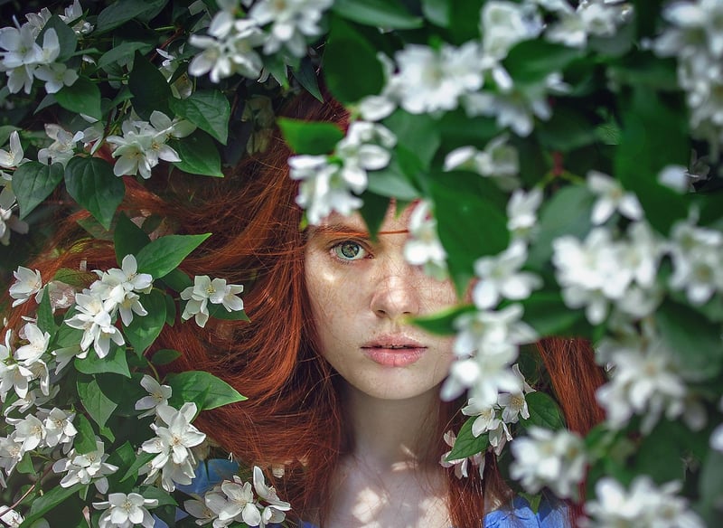 Vintage Enchantment